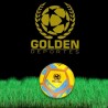 Futbol de salón Estilo Copa America